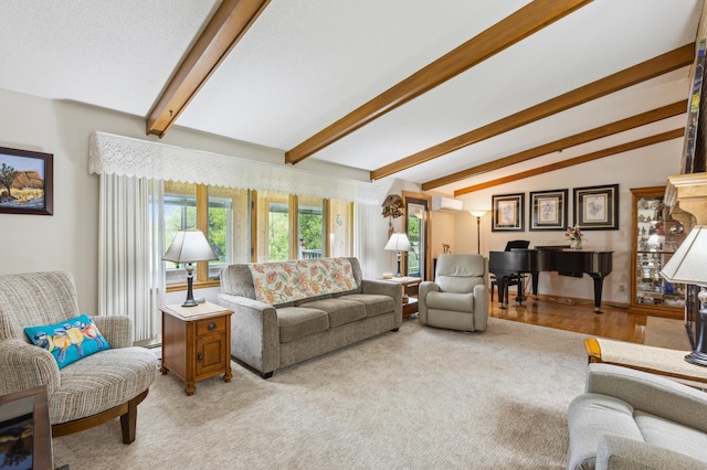 50 Lakeview Dr NW, Cokato, MN 55321 - living room with light carpet and a wall unit AC