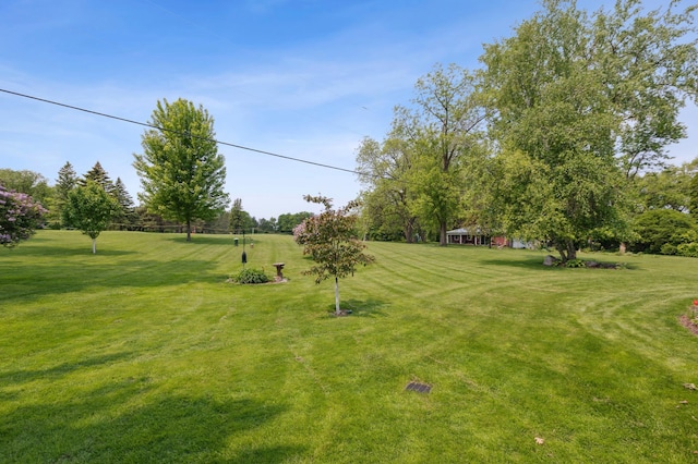50 Lakeview Dr NW, Cokato, MN 55321 - view of green lawn