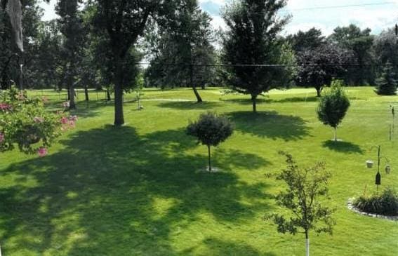 50 Lakeview Dr NW, Cokato, MN 55321 - view of community featuring a yard and view of scattered trees