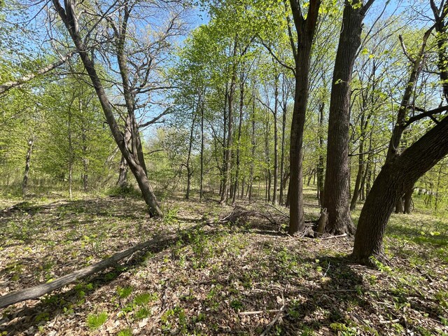 1XX Stark Rd, Harris, MN 55032