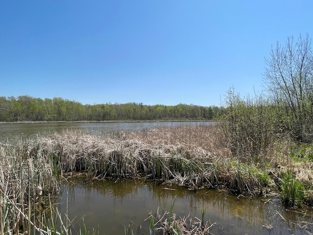 1XX Stark Rd, Harris, MN 55032
