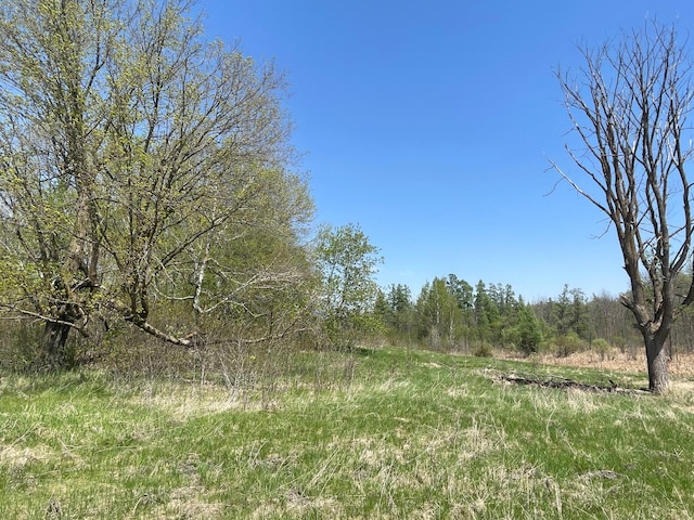 1XX Stark Rd, Harris, MN 55032