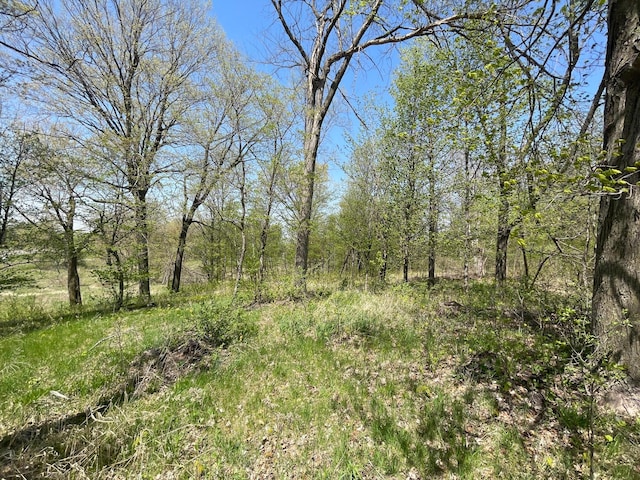 1XX Stark Rd, Harris, MN 55032