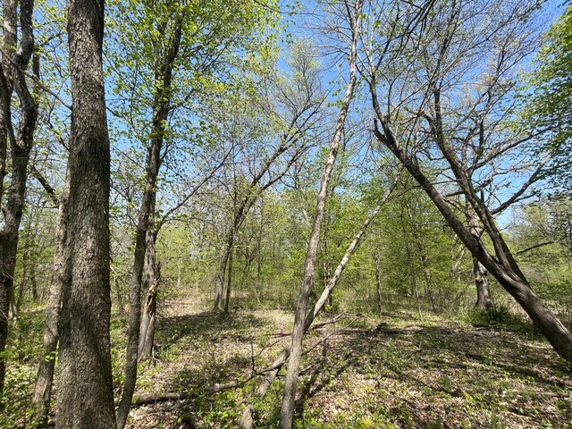 1XX Stark Rd, Harris, MN 55032