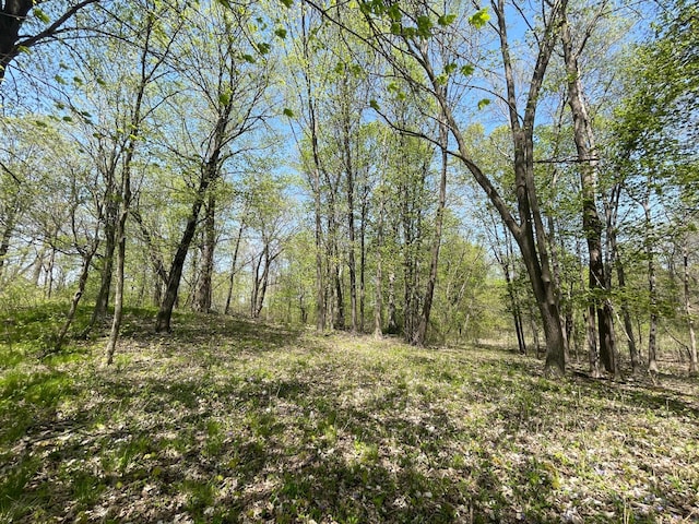 1XX Stark Rd, Harris, MN 55032
