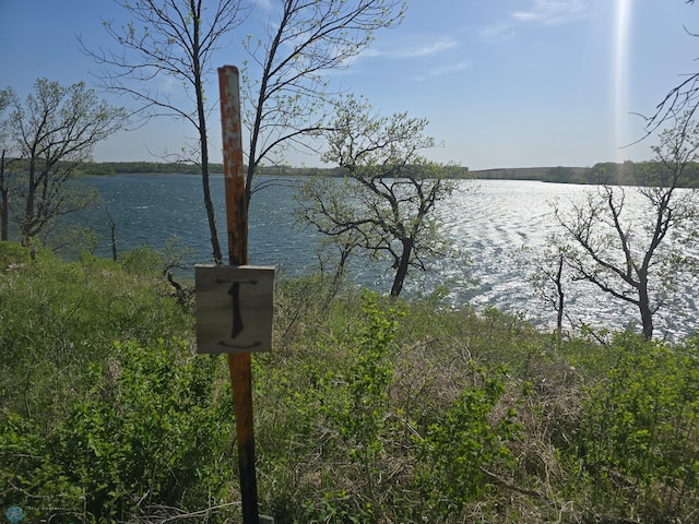 17132 Boyer Lake Rd, Lake Park, MN 56554 - photo 3