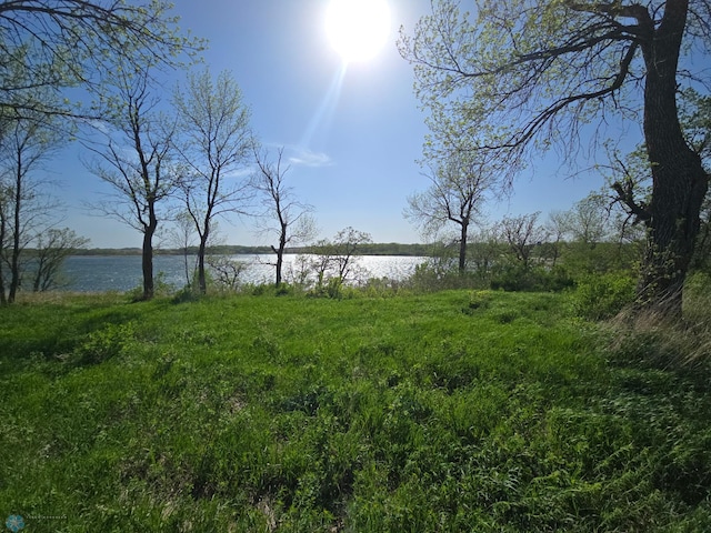 17132 Boyer Lake Rd, Lake Park, MN 56554 - photo 4