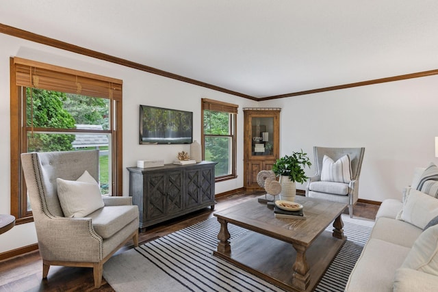 5235 139th St, Savage, MN 55378 - living area with healthy amount of natural light, ornamental molding, and wood finished floors