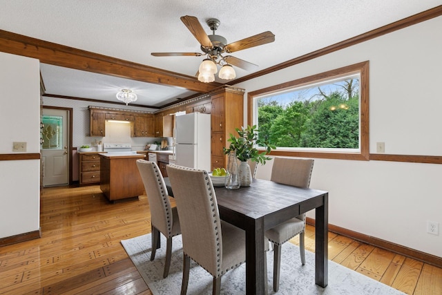 5235 139th St, Savage, MN 55378 - dining area featuring ornamental molding, light wood-style floors, ceiling fan, and a textured ceiling