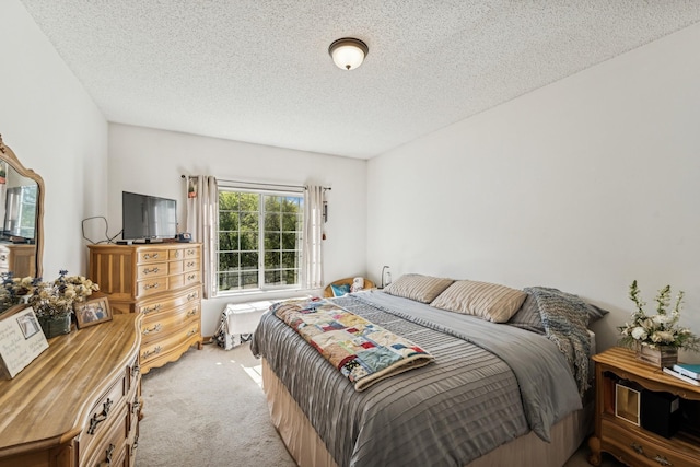 13761 Dorothy Dr, Rogers, MN 55374 - photo 10