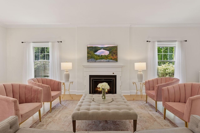 4201 Dupont Ave S, Minneapolis, MN 55409 - living room featuring plenty of natural light, crown molding, a warm lit fireplace, and baseboards