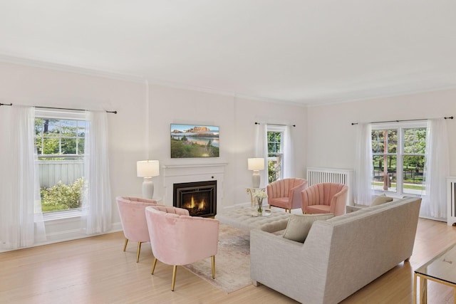 4201 Dupont Ave S, Minneapolis, MN 55409 - living area featuring light wood-style floors, a warm lit fireplace, and crown molding
