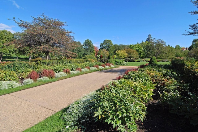 4201 Dupont Ave S, Minneapolis, MN 55409 - view of community