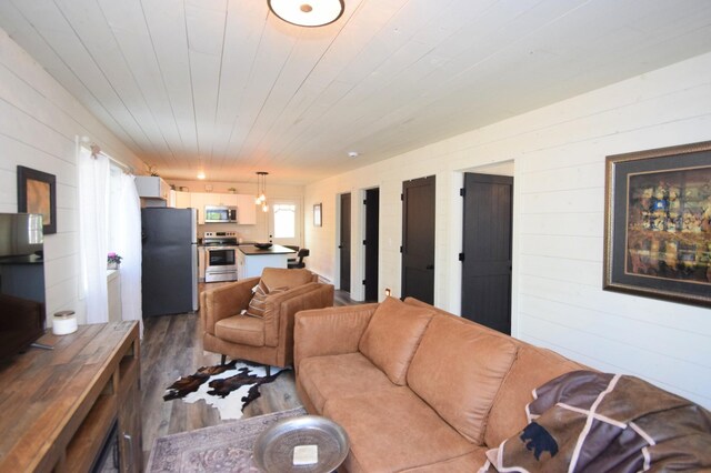 28607 Great Bear Path Way, Danbury, WI 54830 - living area featuring wooden walls and dark wood-style floors
