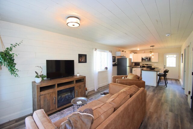 28607 Great Bear Path Way, Danbury, WI 54830 - living room with dark wood-style floors, healthy amount of natural light, and wooden ceiling