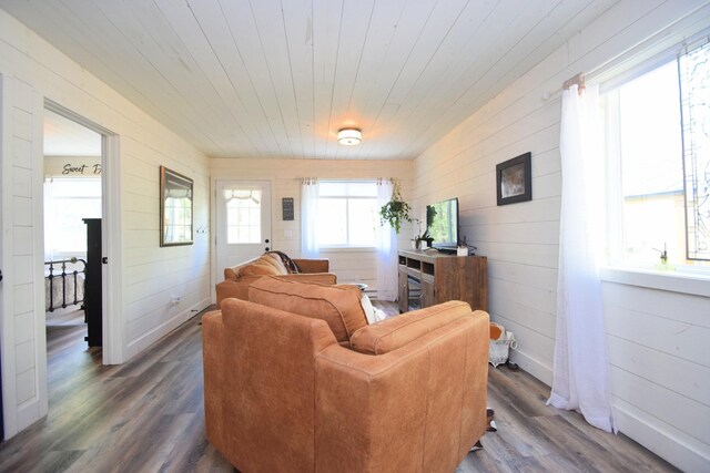 28607 Great Bear Path Way, Danbury, WI 54830 - living area with wood finished floors, wooden walls, and wooden ceiling