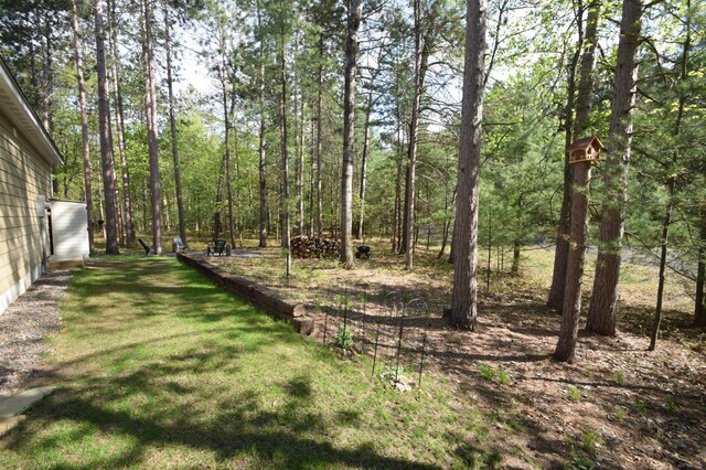 28607 Great Bear Path Way, Danbury, WI 54830 - view of yard featuring a forest view