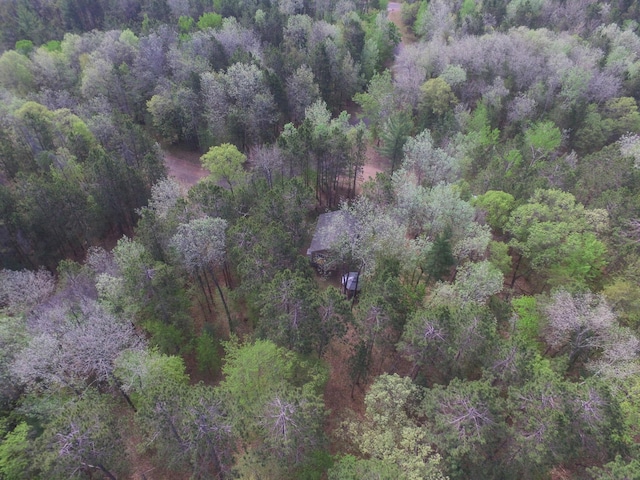 28607 Great Bear Path Way, Danbury, WI 54830 - aerial view of property and surrounding area featuring a forest