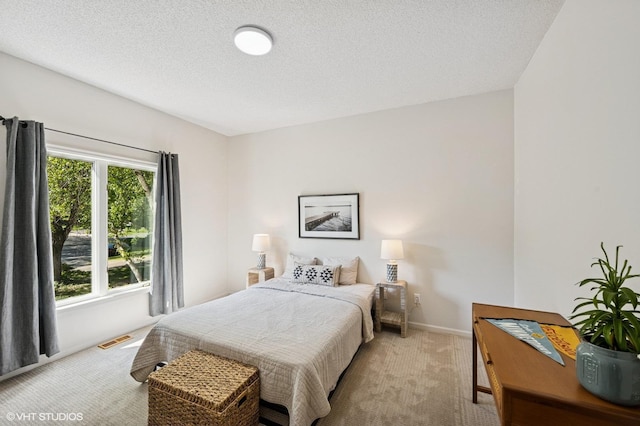820 Vineland Ct, Chanhassen, MN 55317 - bedroom with carpet, baseboards, and a textured ceiling