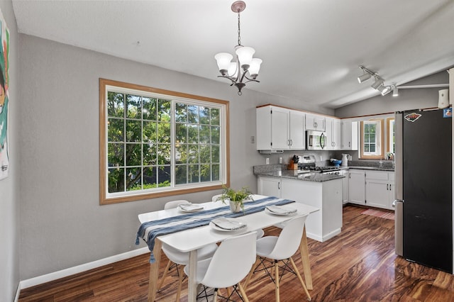 10751 Kumquat St NW, Coon Rapids, MN 55448 - dining area featuring a chandelier, dark wood-style floors, vaulted ceiling, baseboards, and rail lighting