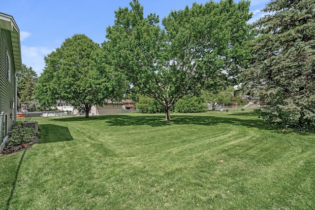 10751 Kumquat St NW, Coon Rapids, MN 55448 - view of green lawn