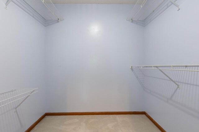 7954 Timber Lake Dr, Eden Prairie, MN 55347 - walk in closet with light carpet