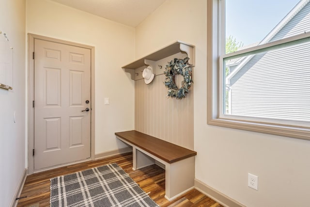 mudroom with healthy amount of natural light, wood finished floors, and baseboards