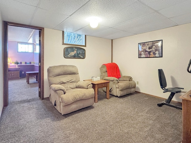 2216 County Road 15, Russell, MN 56169 - living area featuring a paneled ceiling, carpet flooring, and baseboards