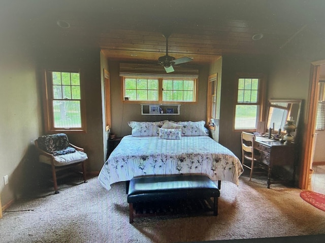 10115 Island Lake Rd, Solon Springs, WI 54873 - view of carpeted bedroom