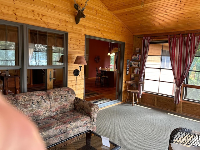 10115 Island Lake Rd, Solon Springs, WI 54873 - photo 51