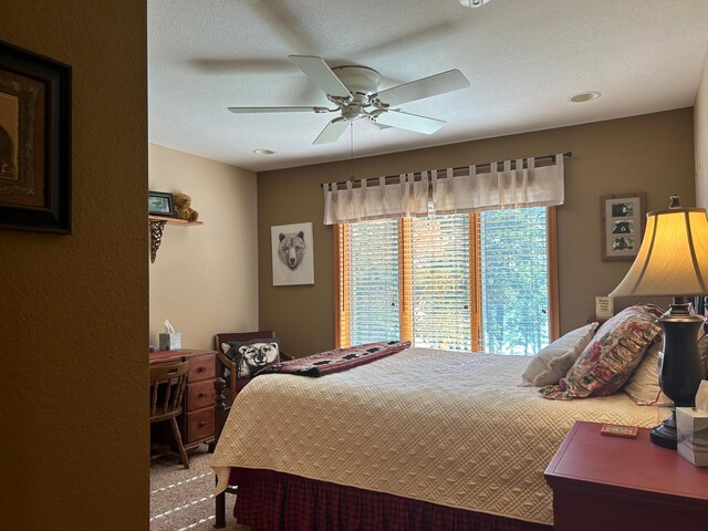10115 Island Lake Rd, Solon Springs, WI 54873 - photo 24