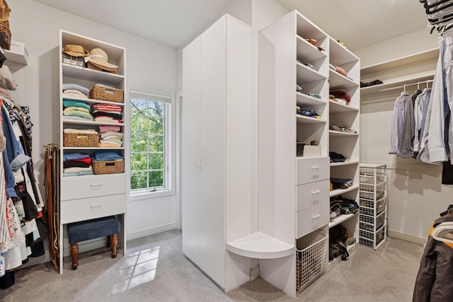 490 Old Long Lake Rd, Orono, MN 55391 - spacious closet featuring light carpet
