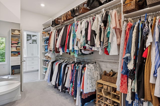 490 Old Long Lake Rd, Orono, MN 55391 - walk in closet featuring carpet flooring
