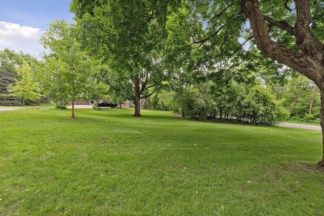490 Old Long Lake Rd, Orono, MN 55391 - view of green lawn