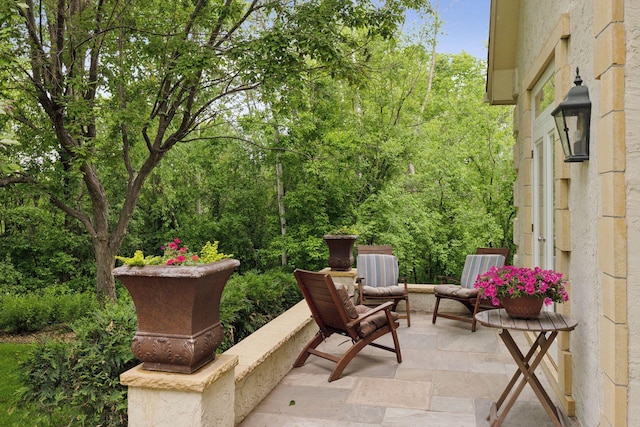 490 Old Long Lake Rd, Orono, MN 55391 - view of patio / terrace