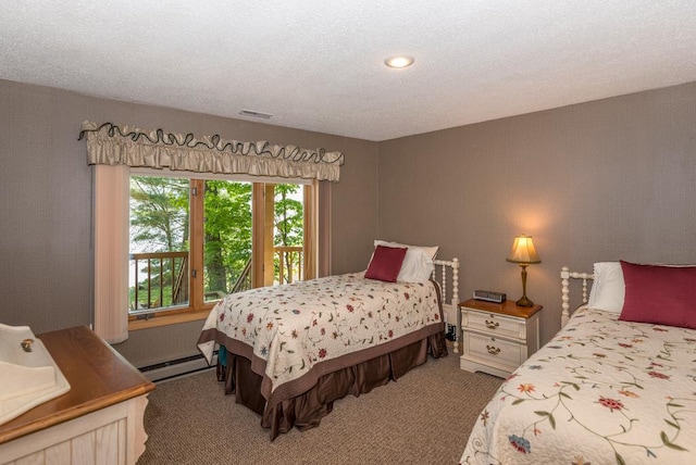 8744 Interlachen Rd, Lake Shore, MN 56468 - carpeted bedroom with baseboard heating