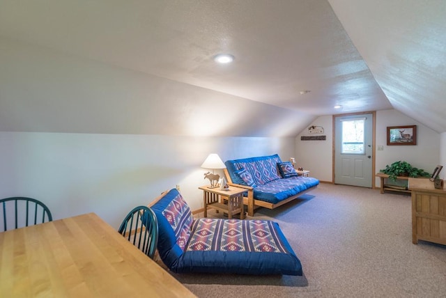 8744 Interlachen Rd, Lake Shore, MN 56468 - sitting room with carpet, vaulted ceiling, and a textured ceiling