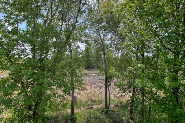 910 Shady Ridge Ln, Braham, MN 55006 - view of local wilderness