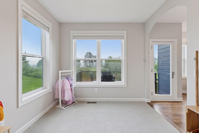 62 Rapp Farm Blvd, North Oaks, MN 55127 - entryway with plenty of natural light, arched walkways, and baseboards