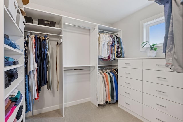 62 Rapp Farm Blvd, North Oaks, MN 55127 - walk in closet with light colored carpet