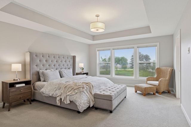 62 Rapp Farm Blvd, North Oaks, MN 55127 - bedroom featuring carpet floors and a raised ceiling
