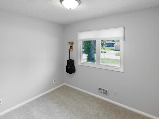 10308 Belmont Rd, Minnetonka, MN 55305 - unfurnished room featuring light carpet, baseboards, and a textured ceiling