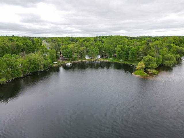 11445 State Highway 48, Trade Lake, WI 54853 - water view featuring a heavily wooded area