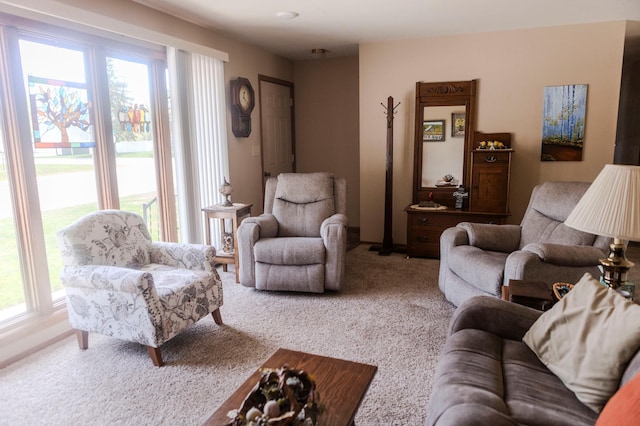 view of carpeted living area
