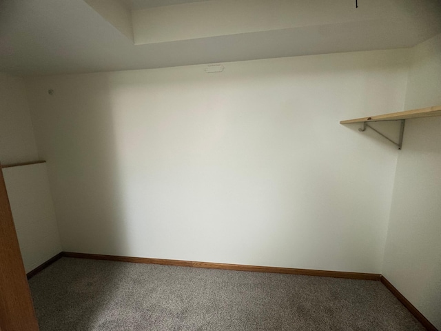 1601 8th Ave NE, Owatonna, MN 55060 - spacious closet featuring carpet
