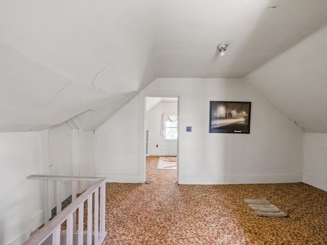 8418 State Highway 29 S, Alexandria, MN 56308 - additional living space featuring carpet floors and lofted ceiling