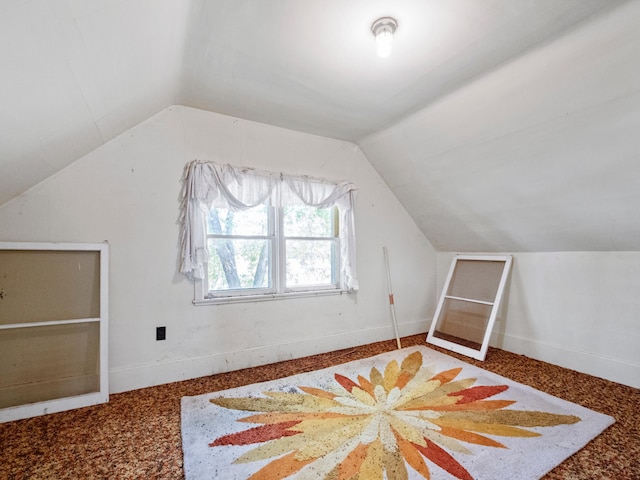 8418 State Highway 29 S, Alexandria, MN 56308 - additional living space with vaulted ceiling and baseboards