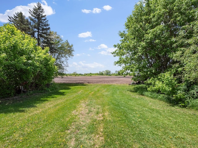 8418 State Highway 29 S, Alexandria, MN 56308 - view of green lawn with a rural view
