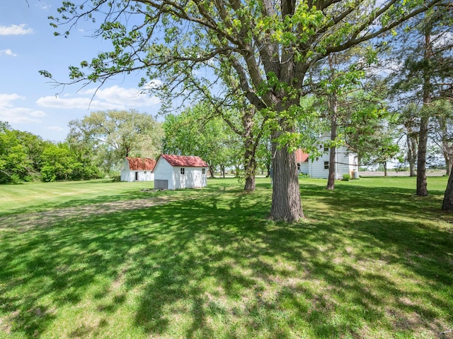 8418 State Highway 29 S, Alexandria, MN 56308 - view of grassy yard