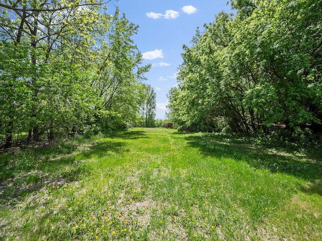 8418 State Highway 29 S, Alexandria, MN 56308 - view of yard